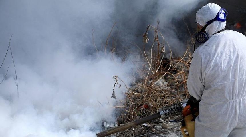 Talas&rsquo;ta Haşereyle M&uuml;cadele &Ccedil;alışmaları Başladı