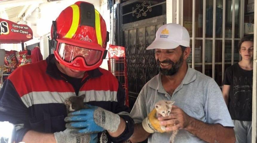 (&ouml;zel) Sultanbeyli&rsquo;de Su Borusuna Sıkışan Yavru Kedileri İtfaiye Kurtardı