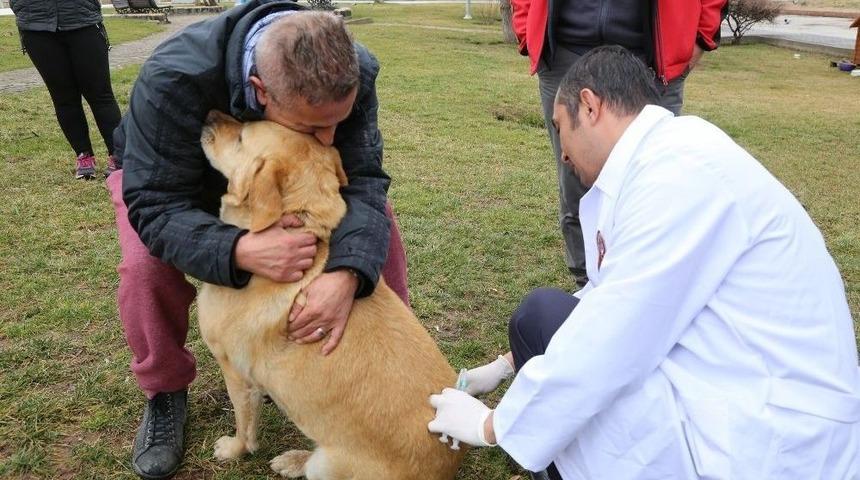 Sokak Hayvanlarının Rutin Aşı Takvimi Uygulamaya Devam Ediyor