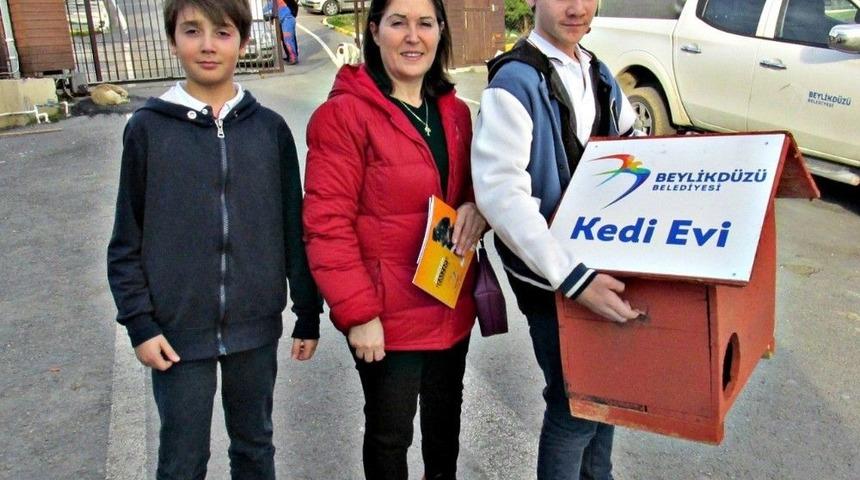 Beylikd&uuml;z&uuml;&rsquo;nde 170 Kedi Sıcak Yuvaya Kavuştu
