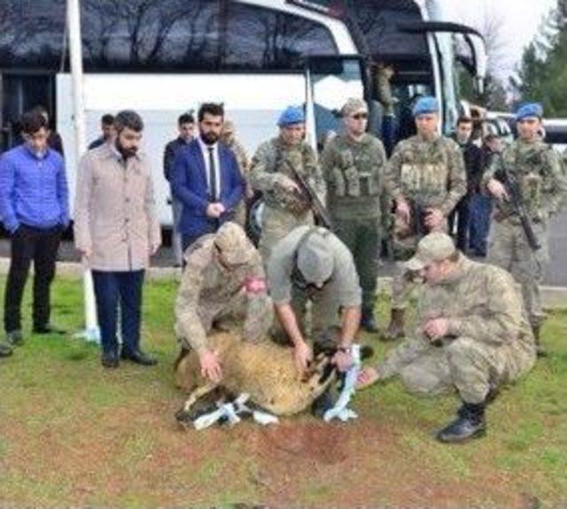 Düğüne Gider Gibi Afrin’e Gittiler