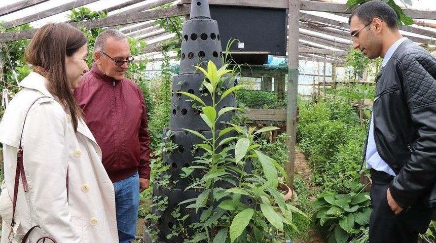 Bakka K&ouml;y Hayatı Konsepti Oluşturulması İ&ccedil;in Araştırma &Ccedil;alışmalarını S&uuml;rd&uuml;r&uuml;yor