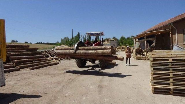 (&ouml;zel Haber) 21 Yaşındaki M&uuml;dire Başarısıyla Takdir Topluyor 1