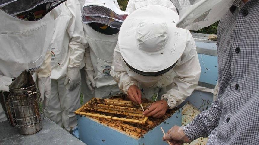 Kamerunlu Arıcılar T&uuml;rkiye&rsquo;de Modern Arıcılık Tekniklerini &Ouml;ğreniyor