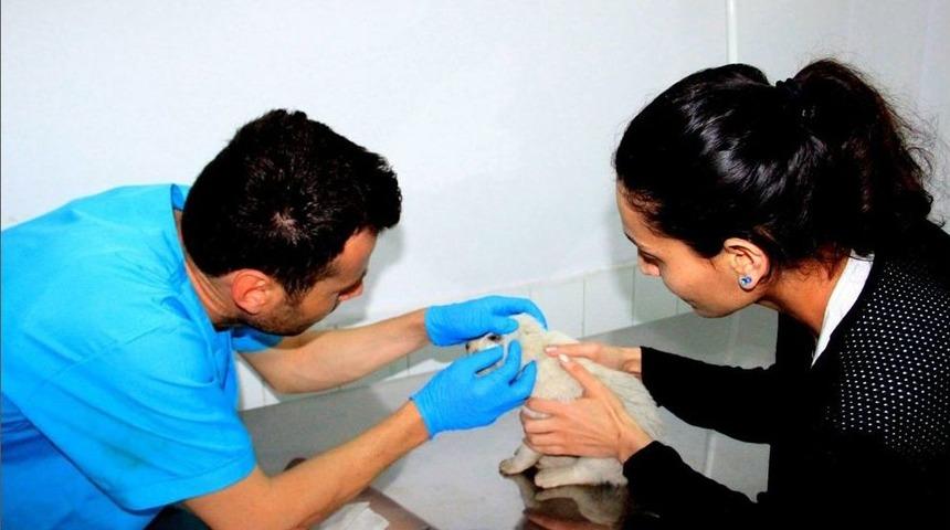 Sarıg&ouml;ll&uuml; Vatandaştan &Ouml;rnek Davranış