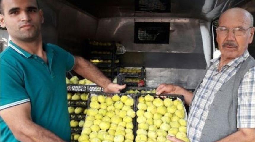 Ödemiş İnciri Bir Kaç Güne Tezgahlarda