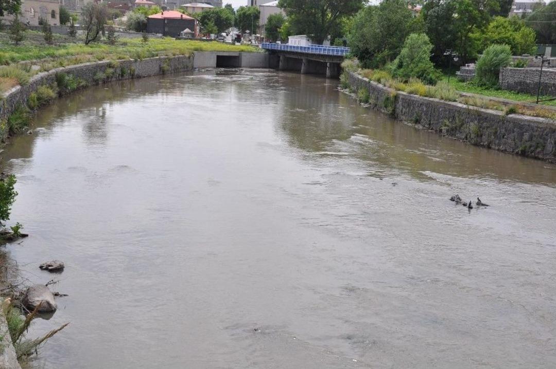 Havalar Isındı Kars &Ccedil;ayı Etrafa Pis Koku Yaymaya Başladı