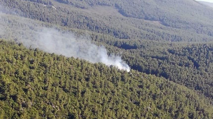 3 Dekar Ormanlık Alan K&uuml;l Oldu