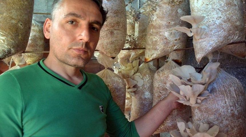 Mantar İ&ccedil;in 20 Yıllık Mesleğini Bıraktı