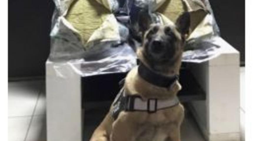 Bing&ouml;l&rsquo;de 59 Kilo Toz Esrar Ele Ge&ccedil;irildi