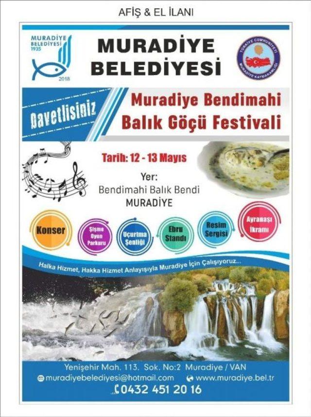 ‘muradiye Bendimahi Balık Göçü Festivali’