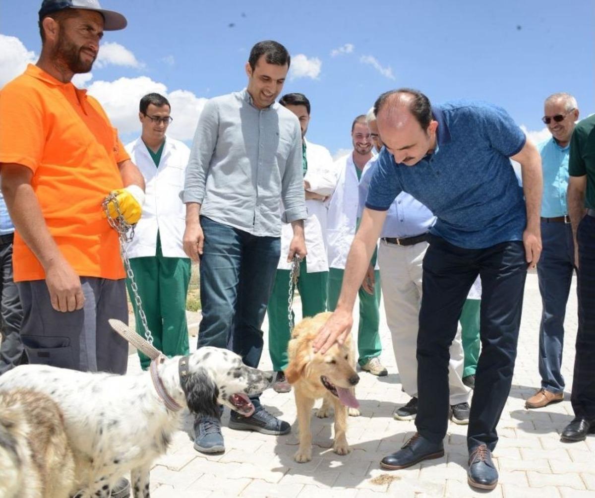 T&uuml;rkiye&rsquo;nin En Modern Hayvan Barınaklarından Biri Konya&rsquo;da