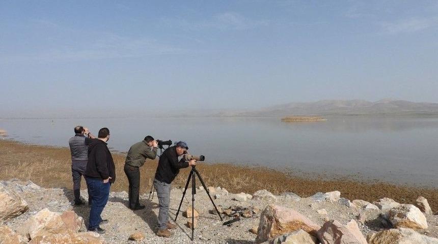 Konya&rsquo;nın G&ouml;l Ve Sulak Alanlarında Kış Ortası Kuş Sayımları Ger&ccedil;ekleştirildi