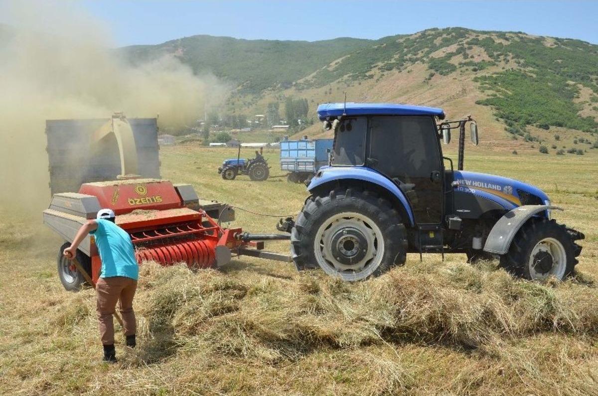 Ottan İyi Verim Alan &Ccedil;ift&ccedil;inin Keyfi Yerinde