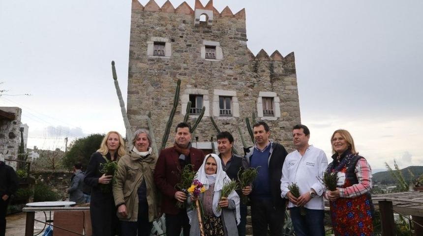 Bodrum Acı Ot Festivali Basın Toplantısı İle Tanıtıldı