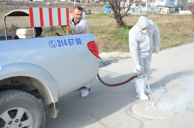 Haşere İle M&uuml;cadele D&ouml;rt Mevsim Devam Ediyor 2