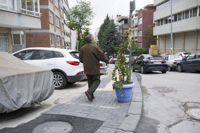 (özel Haber) Saksıya Tekme Attı Yere Düştü