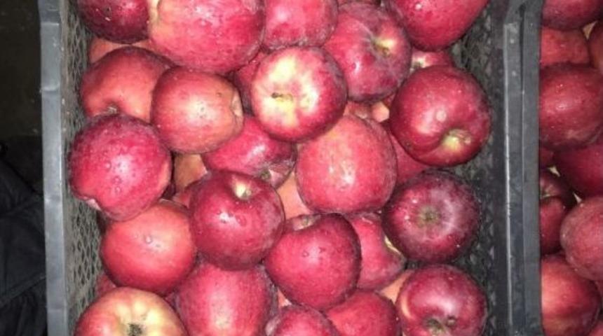 Senirkent&rsquo;te Afrin&rsquo;deki Mehmet&ccedil;ik İ&ccedil;in &lsquo;1 Kasa Elma Kampanyası&rsquo;