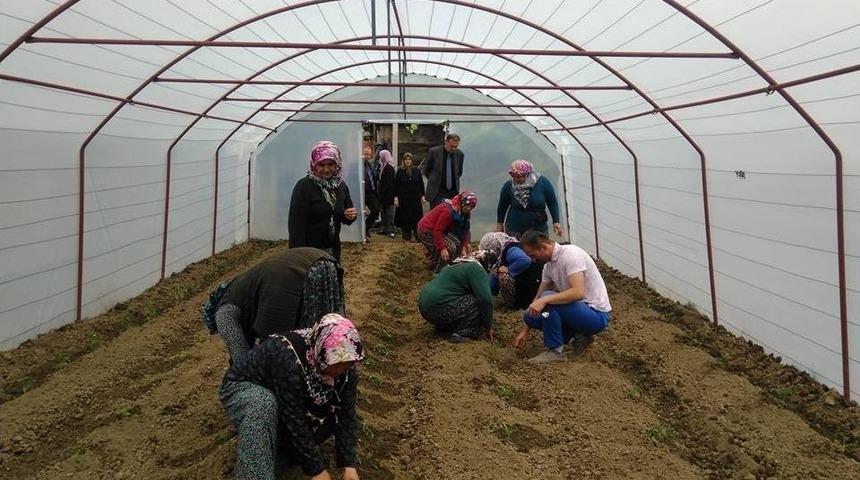 Yenice&rsquo;de Seracılık Kursu A&ccedil;ıldı