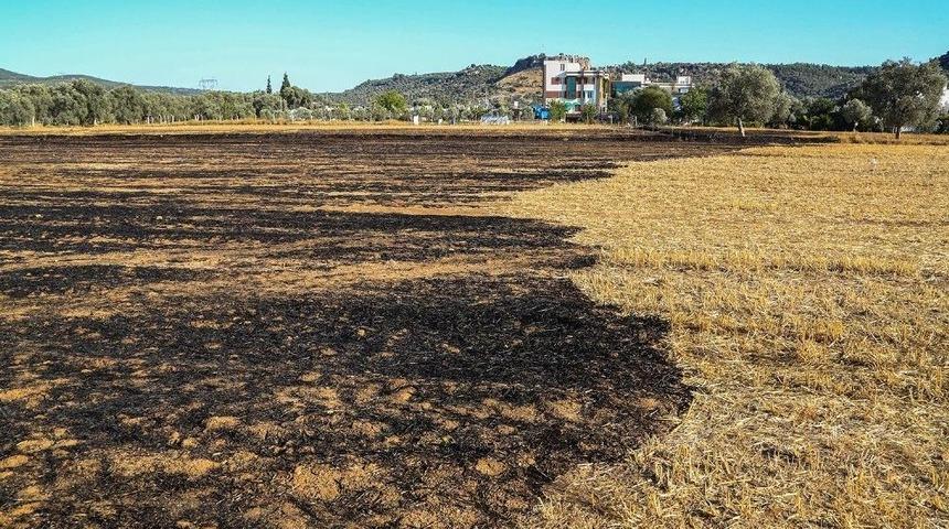 Başkan Atıcı&rsquo;dan &lsquo;anız&rsquo; Uyarısı!