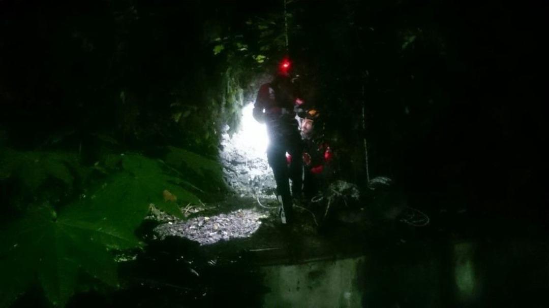 Bursa&rsquo;da Yavru Kedi Kurtarma Seferberliği