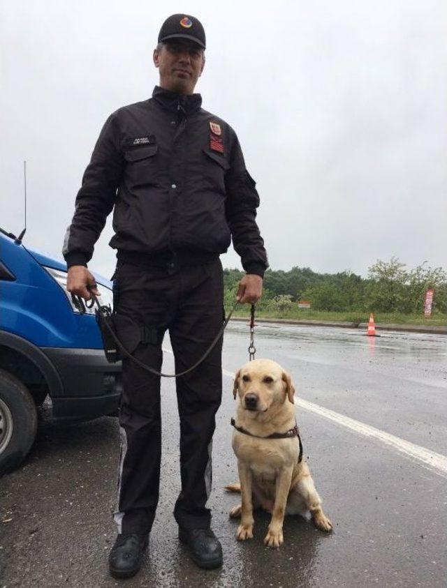 Jandarmadan "drone Ve Takbul" Lu Uygulama 2