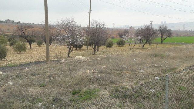 Tarım Şehri Şanlıurfa’da Yağış Bir Hafta Daha Etkisini Sürdürecek