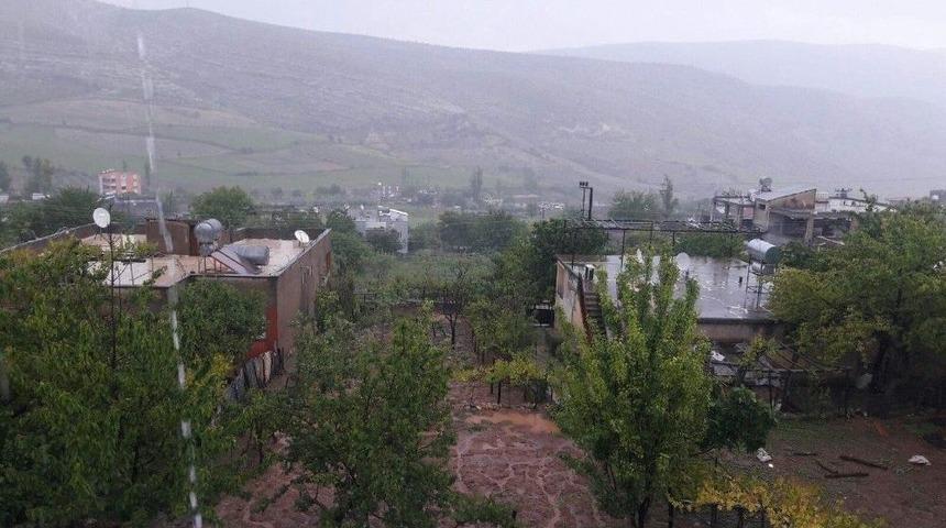 Eruh&rsquo;ta Şiddetli Yağış Ekinlere Zarar Verdi