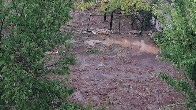 Eruh’ta Şiddetli Yağış Ekinlere Zarar Verdi