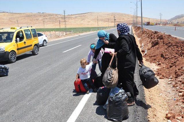 Suriyelilerin Dönüşü Sürüyor