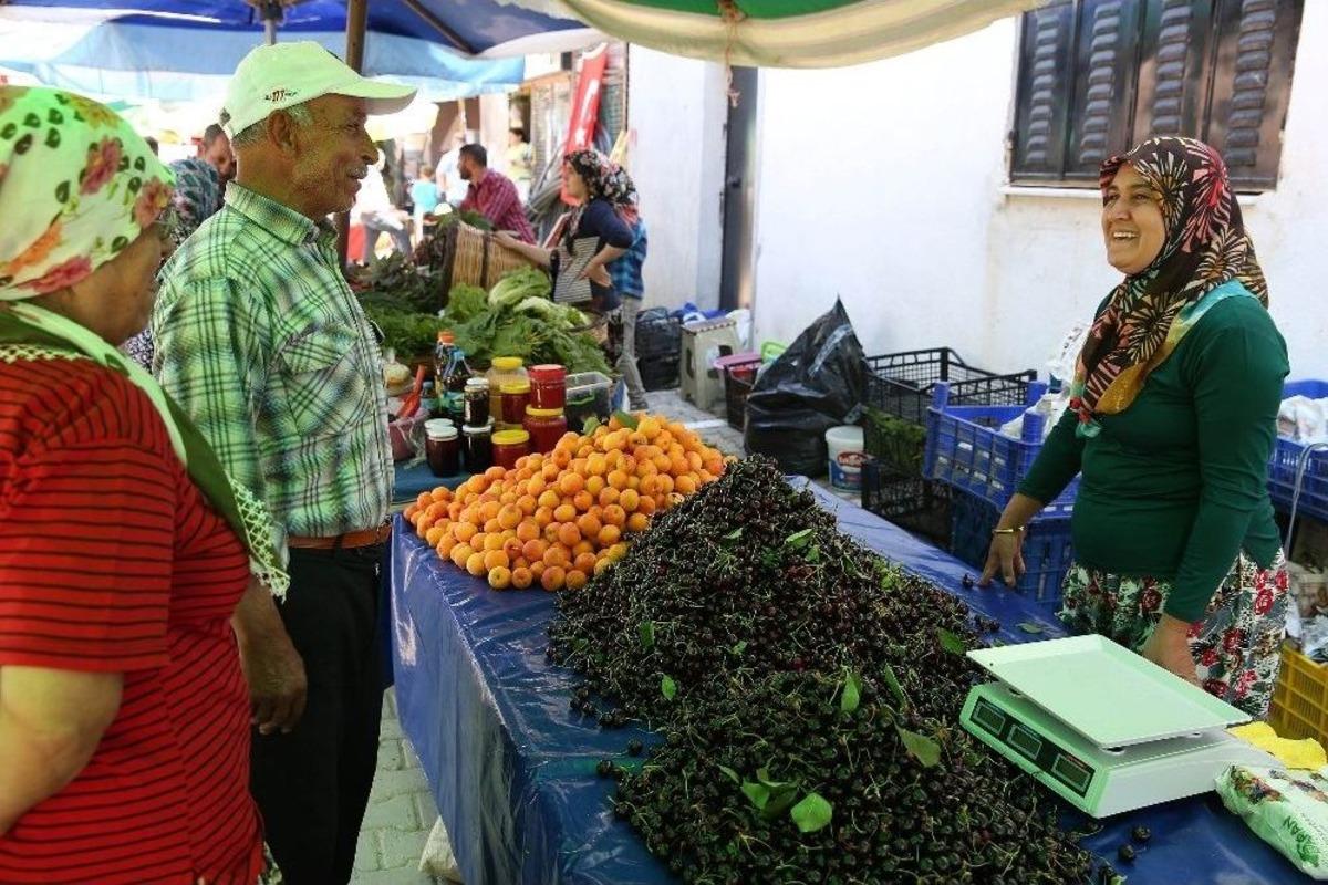 Buca Belenbaşı Kiraz Festivali Başlıyor