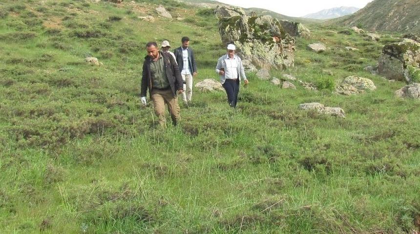 Elazığ&rsquo;da Nesli Tehlikede Olan Kuş T&uuml;rleri Ve S&uuml;r&uuml;ngenler Tespit Edildi
