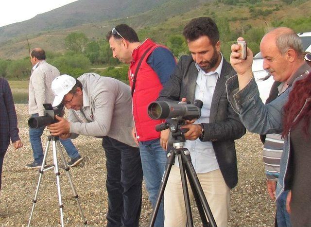 Elazığ’da Nesli Tehlikede Olan Kuş Türleri Ve Sürüngenler Tespit Edildi