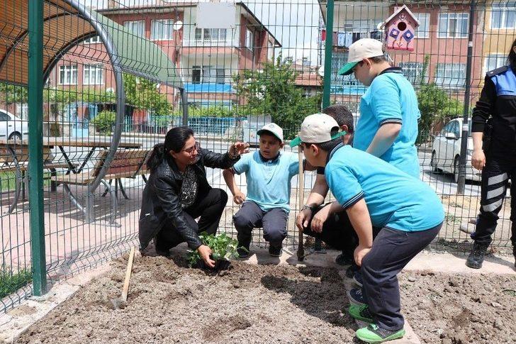 Doğayı Sevme Becerisi Kazanmak İçin Fidan Diktiler G3