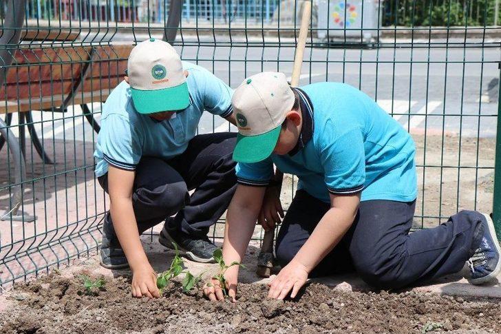 Doğayı Sevme Becerisi Kazanmak İçin Fidan Diktiler G4