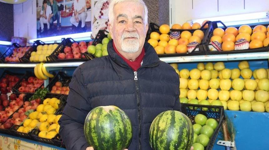 Karpuz, Kilosu 5 Liradan Tezgahlarda