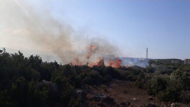 Antalya’da Makilik Alanda Çıkan Yangın Korkuttu