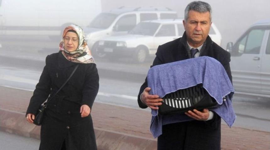 Duruşmaya Kedisiyle Gitti