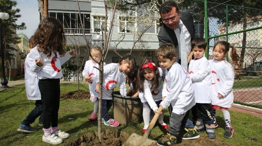 Atakum&rsquo;da Betonlaşmaya Karşı &ldquo;yeşil Adım&rdquo;
