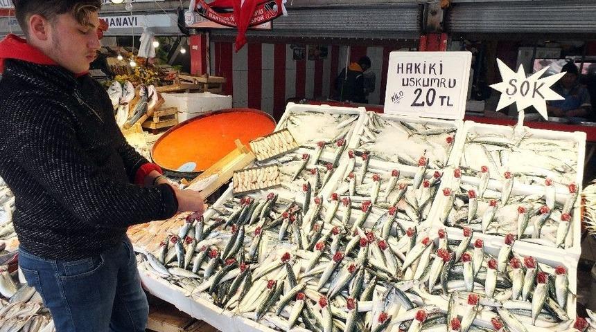 (&ouml;zel Haber) Uskumru Hamsinin Tahtını Sallıyor