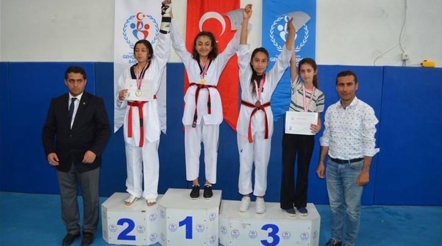 Osmaniyeli Taekwondocular T&uuml;rkiye Finalinde