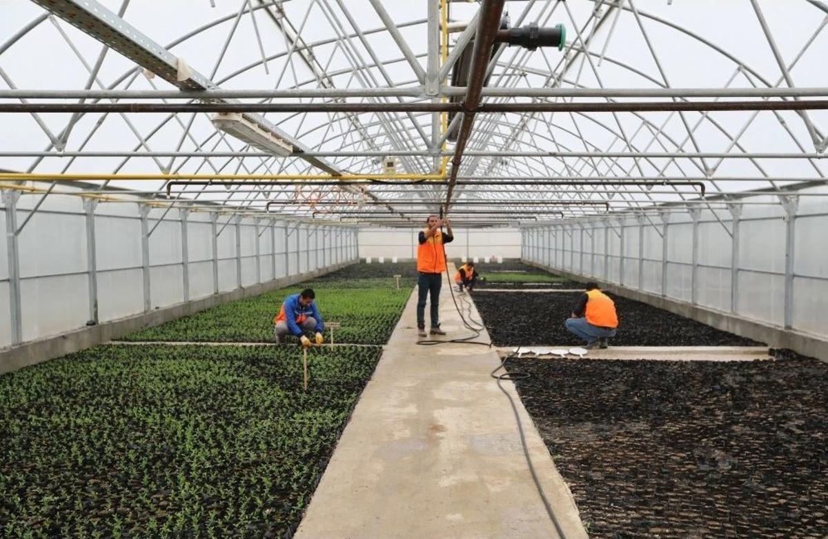 Van B&uuml;y&uuml;kşehir Belediyesi Eksi 15 Derecede &Ccedil;i&ccedil;ek &Uuml;retiyor