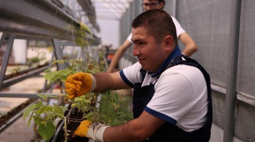 &Ouml;zel &Ouml;ğrenciler, Meyve Ve Sebze Yetiştiriyor