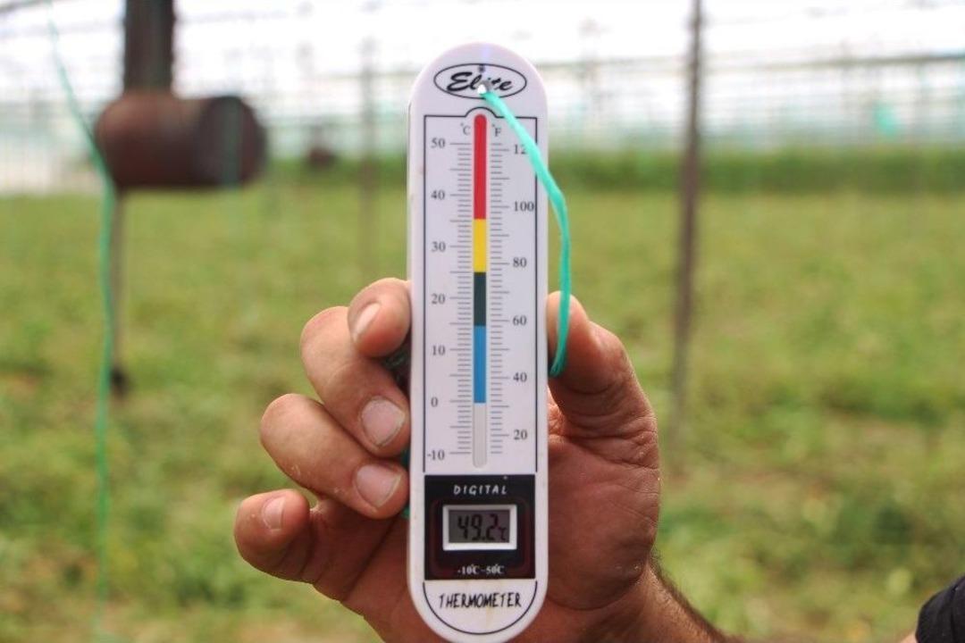 Serada 50 Dereceyi G&ouml;ren &Ccedil;ift&ccedil;i Domates Sezonunu Erken Kapattı