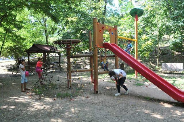 Cephanelik Mesire Alanı İzmitlilerin Uğrak Yeri Oldu 1