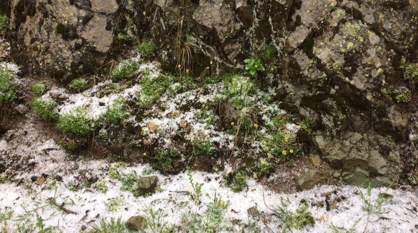 Dolu Yağışı Şaşırttı