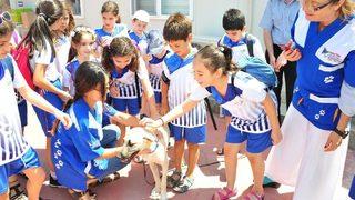 Balçovalı Çocuklar Bu Okulu Çok Seviyor