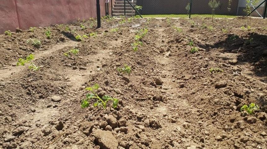 Bursa&rsquo;da Gen&ccedil;ler Toprakla Buluştu