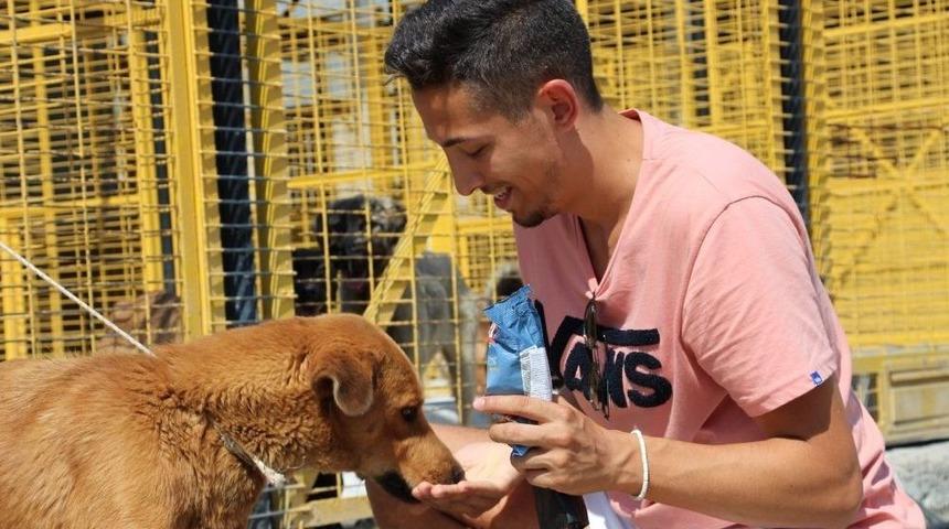 Nil&uuml;ferli Can Dost Artık Almanya&rsquo;da Yaşayacak
