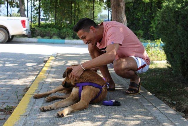 Nil&uuml;ferli Can Dost Artık Almanya&rsquo;da Yaşayacak 1
